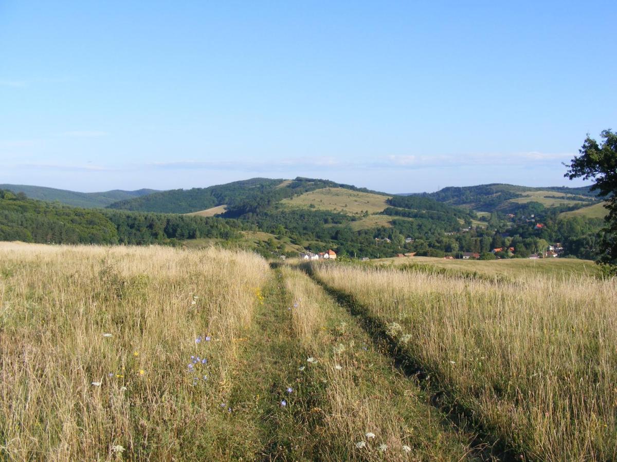 Falubiro Vendeghaza Bekolce Bagian luar foto