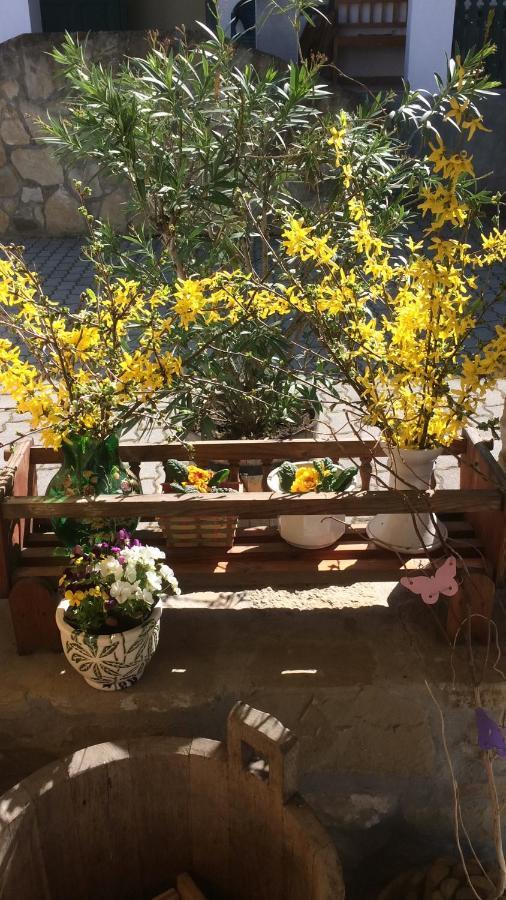 Falubiro Vendeghaza Bekolce Bagian luar foto